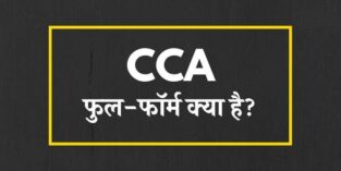 DGP Full Form Hindi: DGP कौन होता है, DGP कैसे बनें?