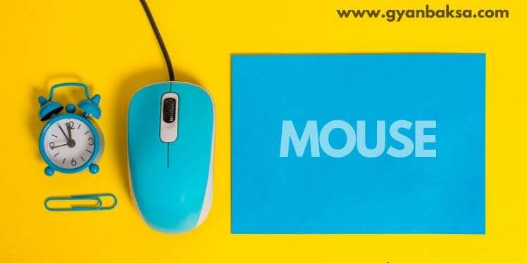 MOUSE Full Form, बनावट और प्रकार