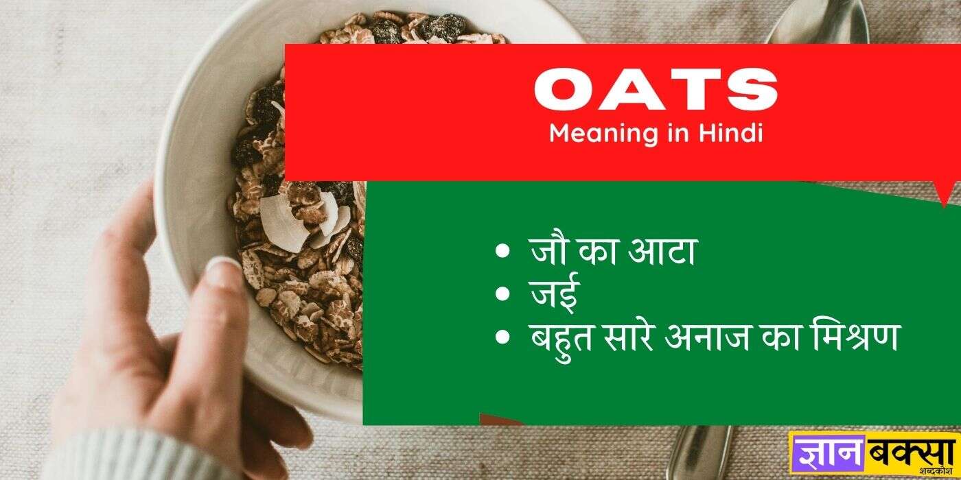 Oats meaning in Hindi