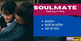 Soulmate Meaning in Hindi - soulmate का हिंदी में क्या मतलब है