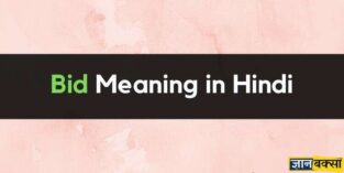 Meaning of Bid in Hindi - Bid का हिन्दी में क्या मतलब है?