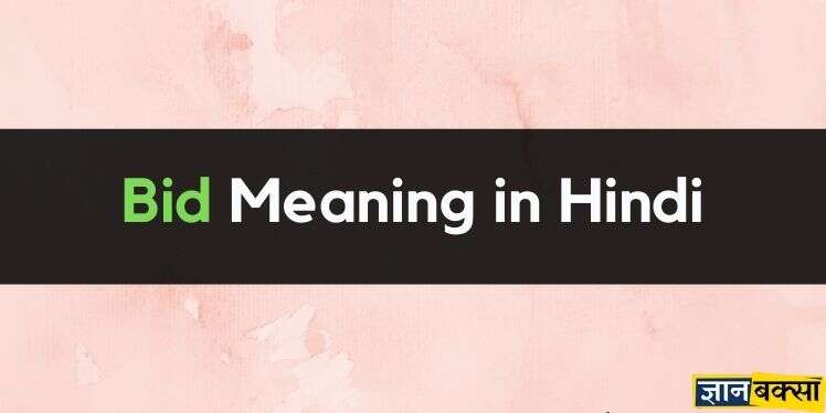 Meaning of Bid in Hindi – Bid का हिन्दी में क्या मतलब है?