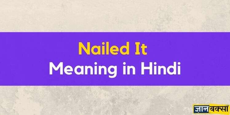 Meaning of Nailed it in Hindi