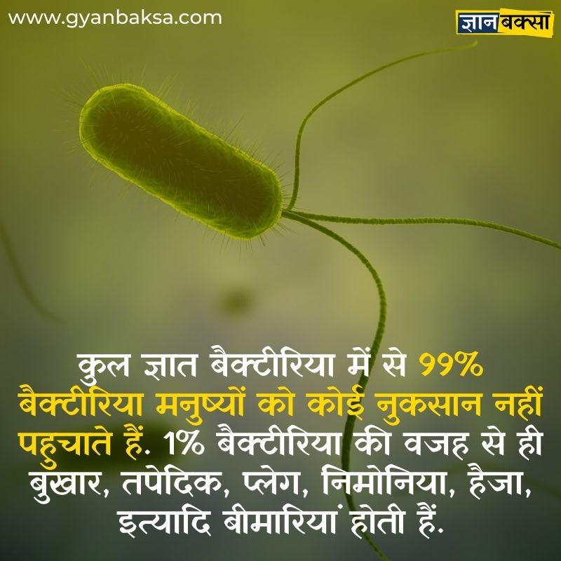 Bacteria Facts Hindi 