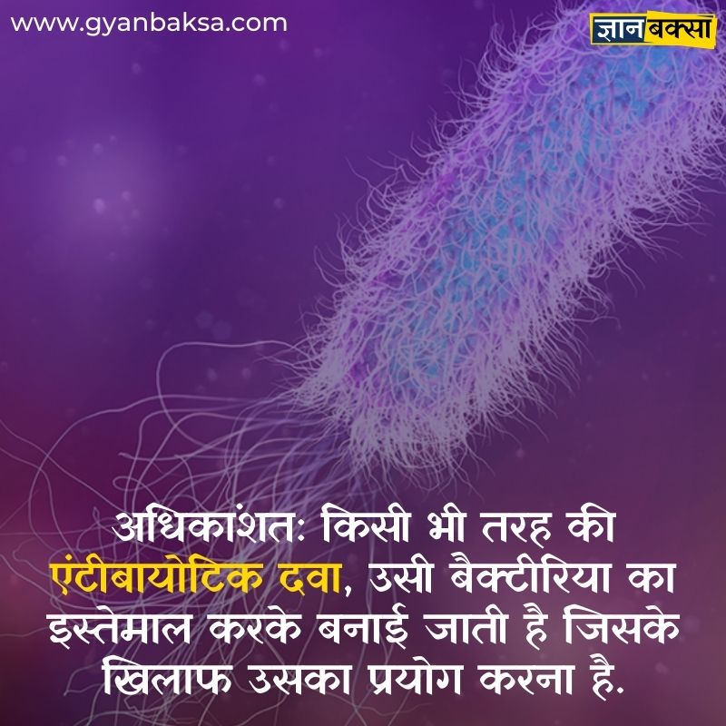 Facts about Bacteria in Hindi