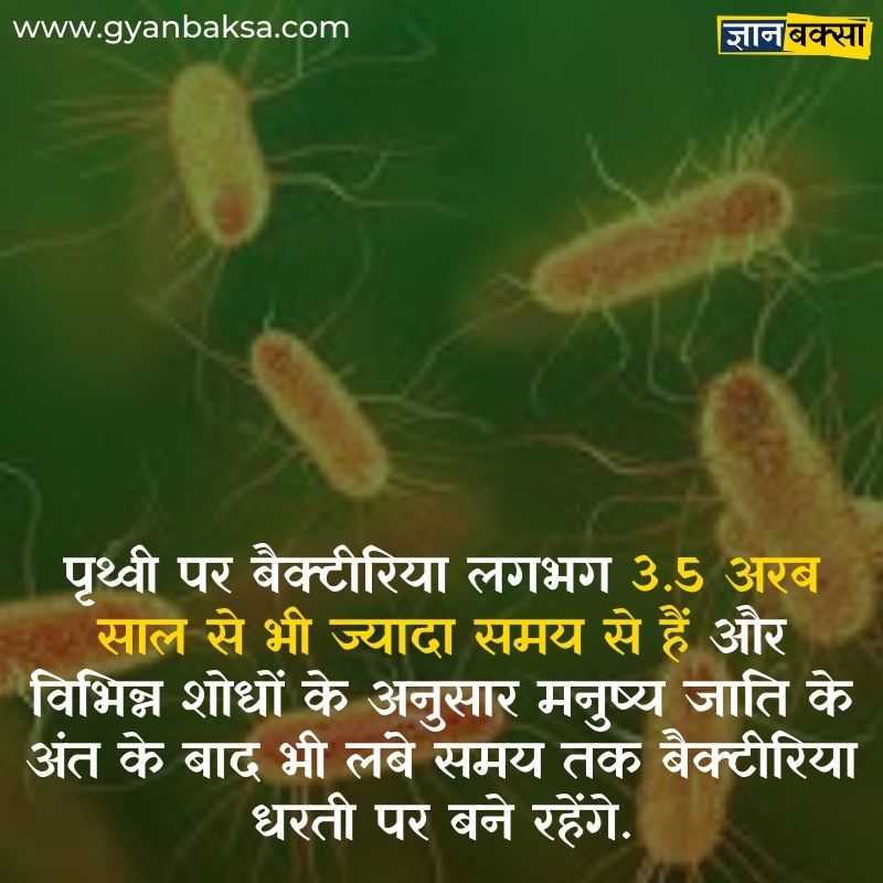 Facts about bacteria in Hindi