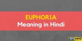 Euphoria Meaning in Hindi - Euphoria का हिंदी में क्या मतलब होता है?