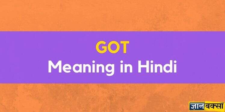 Meaning of Got in Hindi