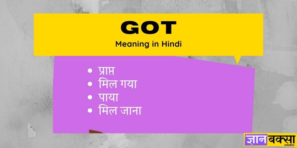 got meaning Hindi