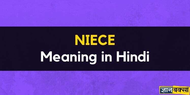 Niece Meaning in Hindi – Niece का हिन्दी में क्या मतलब है?