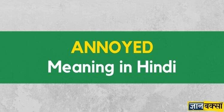 Meaning of Annoyed in Hindi
