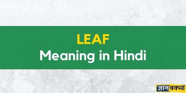 Meaning of leaf in hindi