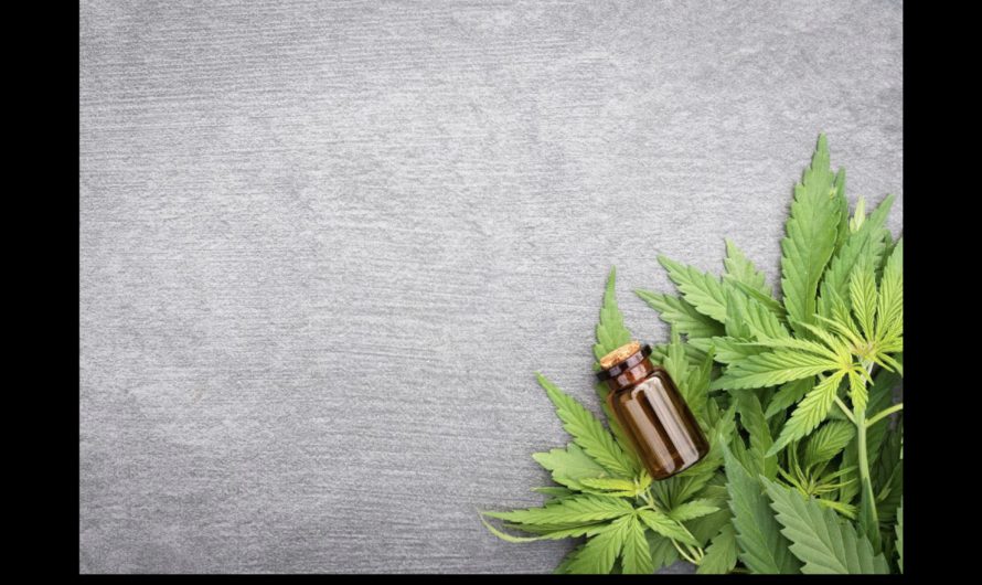 Does CBD have Therapeutic Effects?