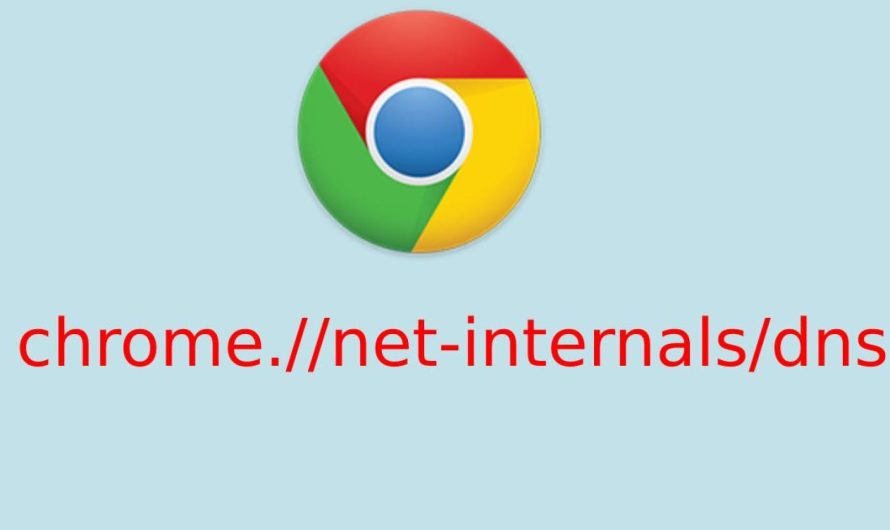 Chrome //net-internals/#dns for Mobile