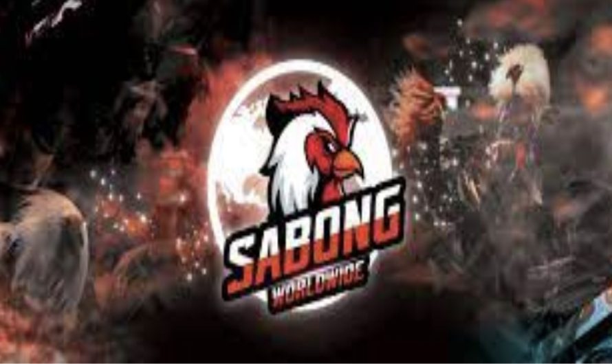 Sabong Worldwide: A Global Hub for Thrilling Cockfighting Entertainment