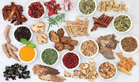 Wellhealth Ayurvedic Health Tips